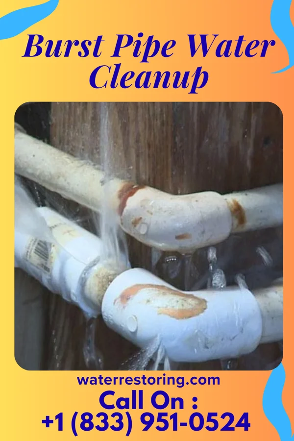 Burst Pipe Water Cleanup in Sugar Grove, PA