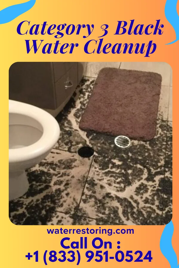 Category 3 Black Water Cleanup in Sugar Grove, PA