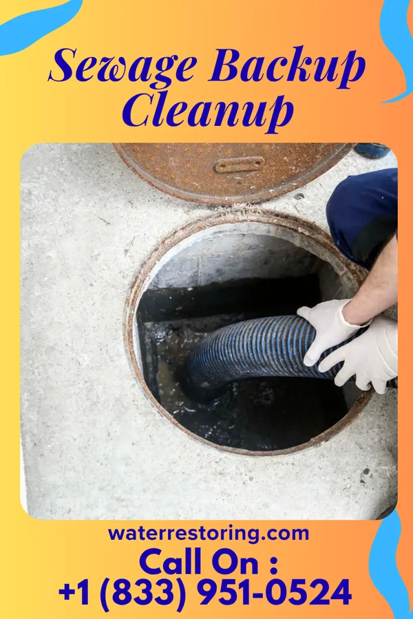 Sewage Backup Cleanup in Sugar Grove, PA