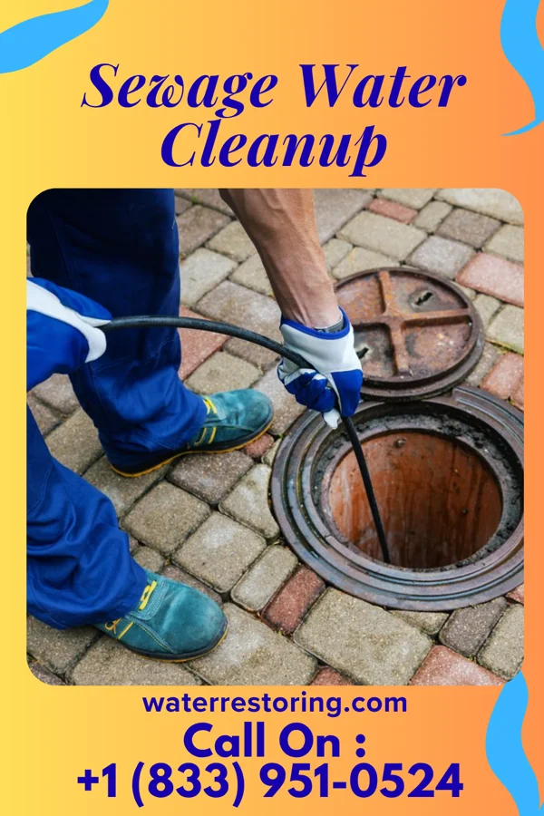 Sewage Water Cleanup in Sugar Grove, PA