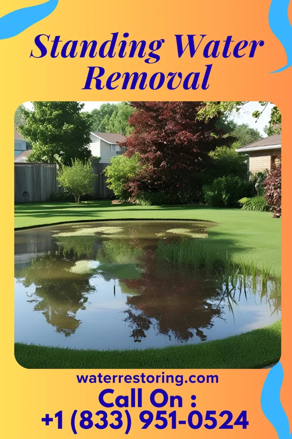 Standing Water Removal in Sugar Grove, PA